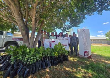 Gobierno de Tamaulipas y SEDENA promueven espacios verdes y sustentables en El Mante