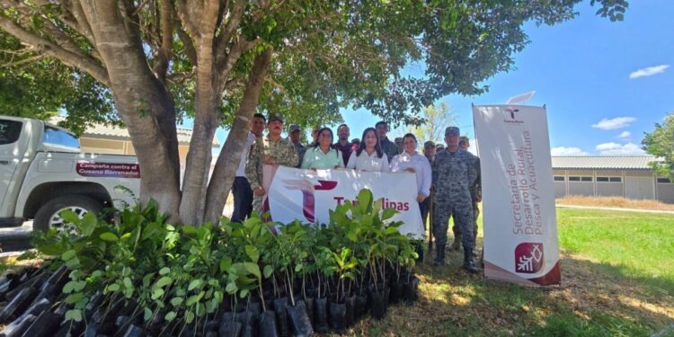 Gobierno de Tamaulipas y SEDENA promueven espacios verdes y sustentables en El Mante
